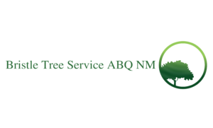 Bristle Tree Service Albuquerque NM Logo