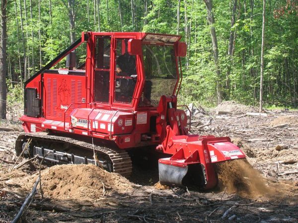 Stump Removal & Grinding Albuquerque NM